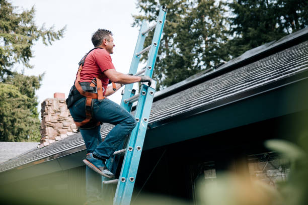 Best Roof Leak Repair  in Marana, AZ